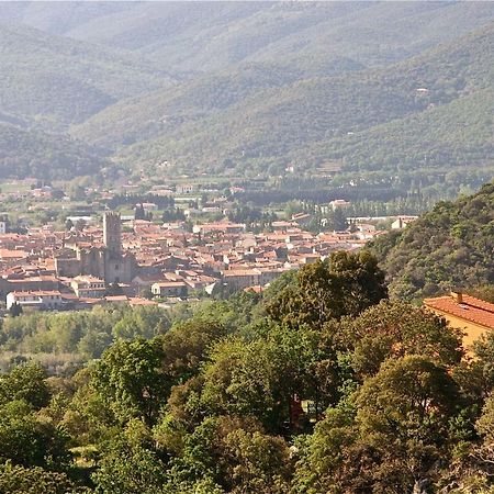 Gite Des Orgues De La Sybille Agave Canigou Exteriör bild